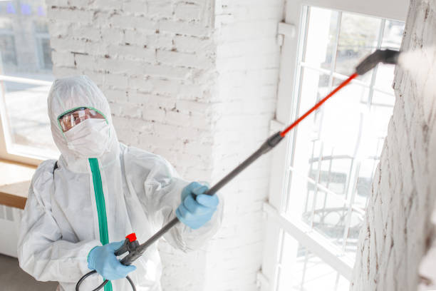 Best Mold Prevention Services  in Santa Clara, UT